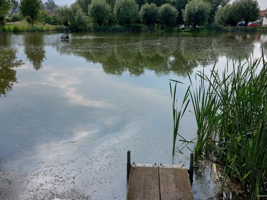 Teich Günterode-2