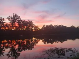 Saalealtarm Aderstedt-1