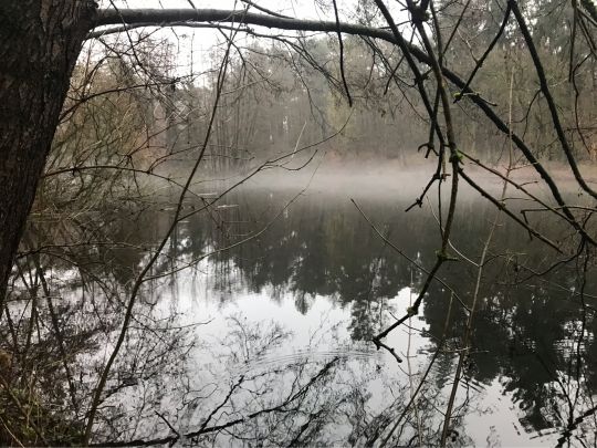 Dalbker Teich ALLE ANGELN