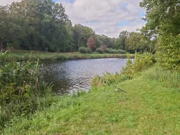 Elbe-Lübeck-Kanal (Witzeeze)-2