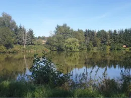 Teichanlage Steinau (Gerstungen)