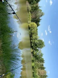 Teichanlage Steinau (Gerstungen)-2