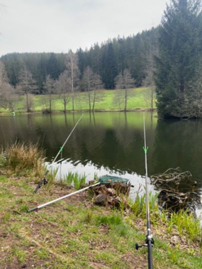 Teichanlage Friedrichstal-4