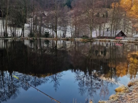 Teichanlage Friedrichstal-1