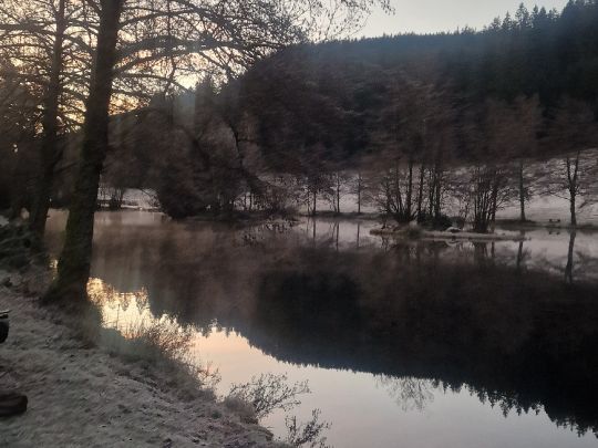 Teichanlage Friedrichstal-3