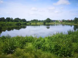 Rückhaltebecken Sandhorst-2