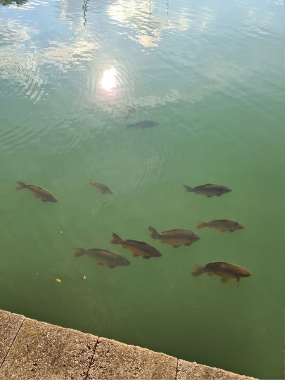 Störmthaler See
