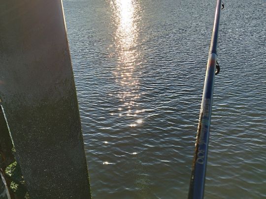 Nordsee (Nordstrand)-1