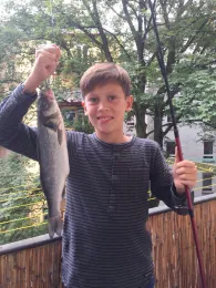 Nordsee (Nordstrand)