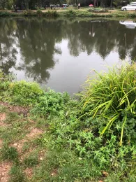 Angelparadies Plüderhausen