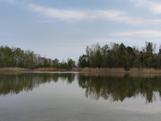 Große Kiesgrube Beelitz-2