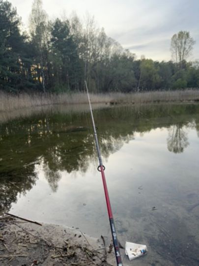 Große Kiesgrube Beelitz-4