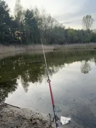 Große Kiesgrube Beelitz-4