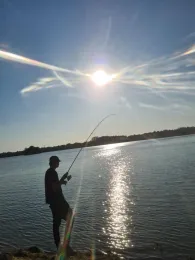 Kieskuhle Moorburg -1