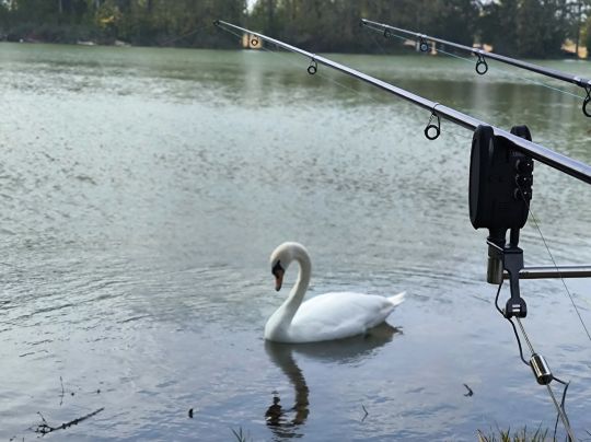 Silikatgruben Herbsleben -4