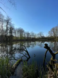 Denkmalsteich (Altenbach)