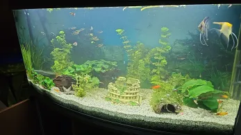 Großer Segeberger See-1