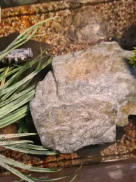 Großer Segeberger See