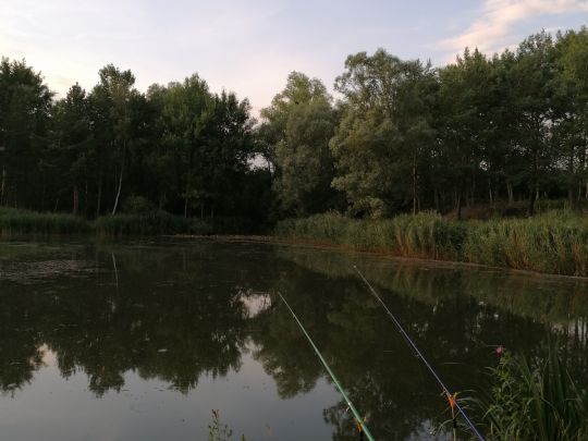 Silbersee (Calvörde)-1