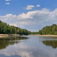 Faules Luch (Sperenberg)