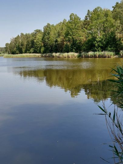 Faules Luch (Sperenberg)-4