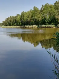 Faules Luch (Sperenberg)-4