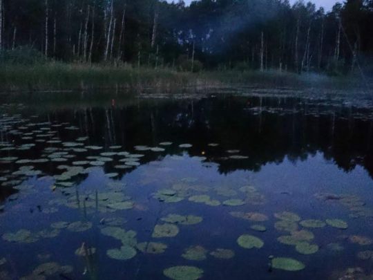 Faules Luch (Sperenberg)-2