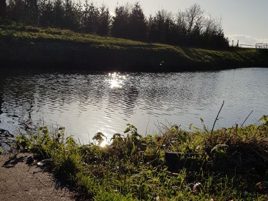 Großer Havelländischer Hauptkanal (Paulinenaue) angeln