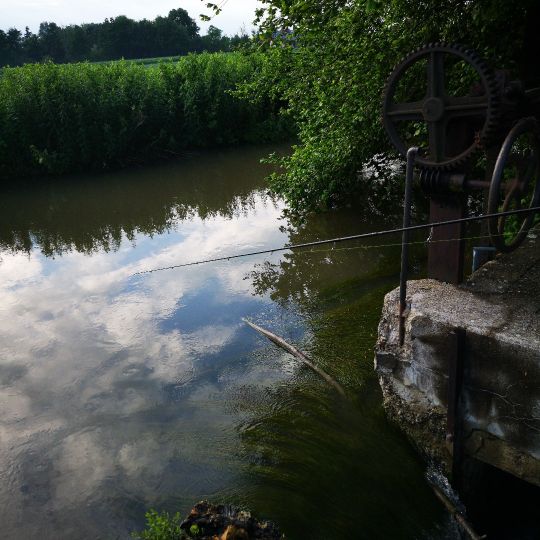 Unterer Mühlbach (Landau)-1