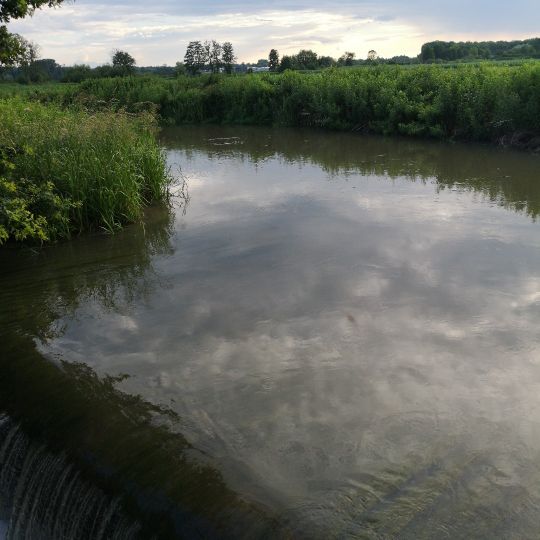 Unterer Mühlbach (Landau)