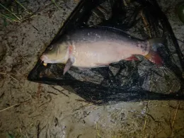 Petersdorfer See (Bad Saarow)