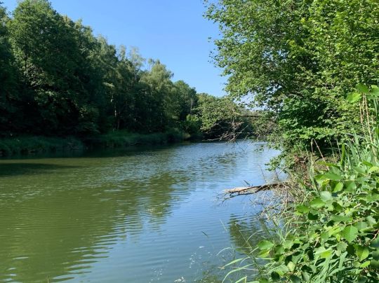 Argen (Langenargen)-4