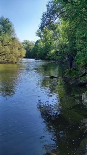 Argen (Langenargen)-1