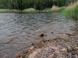 Förstergrube (Strandbad Sandersdorf)