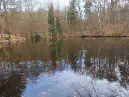 Sauweiher (St. Ingbert)