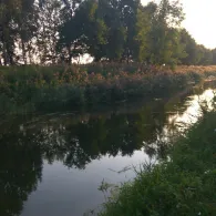 Schwarze Elster (Lauchhammer)