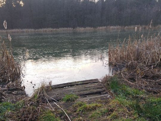 Koboldsee (Straupitz)-1