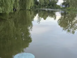 BZ-Weiher (Steinhöring)