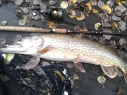 Alte Kieskuhle (Hamburg-Bramfeld)