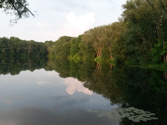 Fichtensee (Löhne)-4