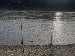 Rheinhafen Oberwinter-0