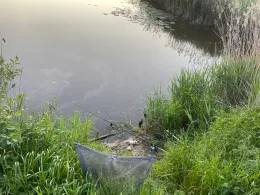 Wörnitz (Heroldingen)