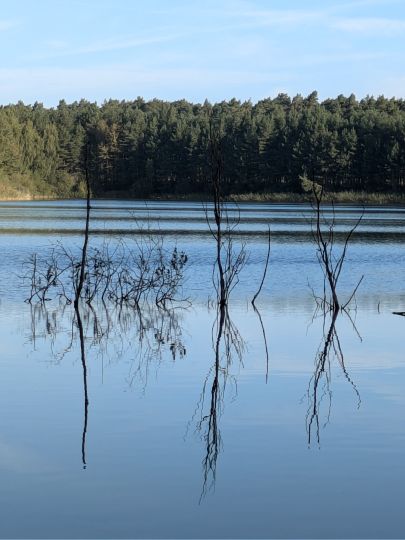 Kiessee Dreenkrögen-3