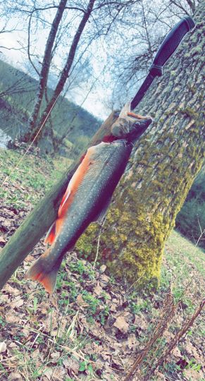 Kocher (Sulzbach-Laufen)-2