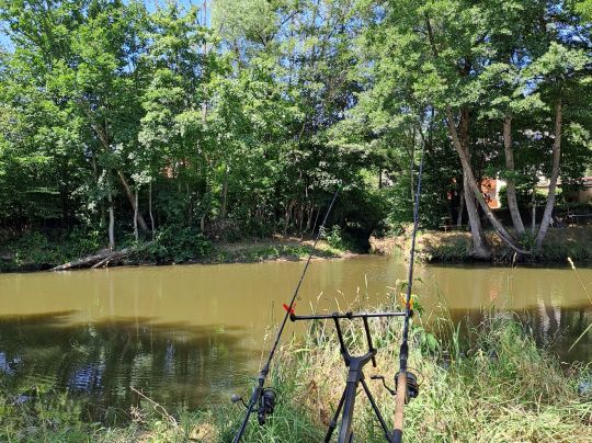 Kocher (Sulzbach-Laufen)-1