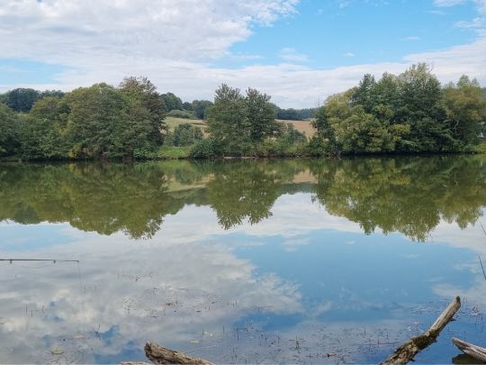 Pfordter See-2