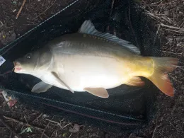 Stausee Postfelden-1