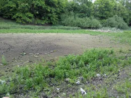 Nettelkuhl (Neubrandenburg)-1