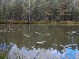 Bleilöcher (Hohenleipisch)-1