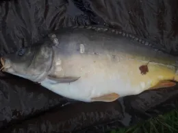 Mühlenteich (Bredstedt)